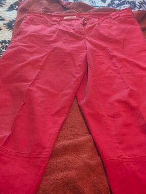 Cato Fuchsia Women's Pants